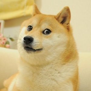 Meet your Posher, Aiden